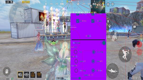 和平精英辅助【XL主播定制】独家绘制透视 完美过检 雷达预警  生态触摸锁 函数自瞄 可观透